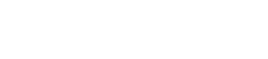 WUSS CASINO